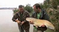 Extreme Fishing with Robson Green